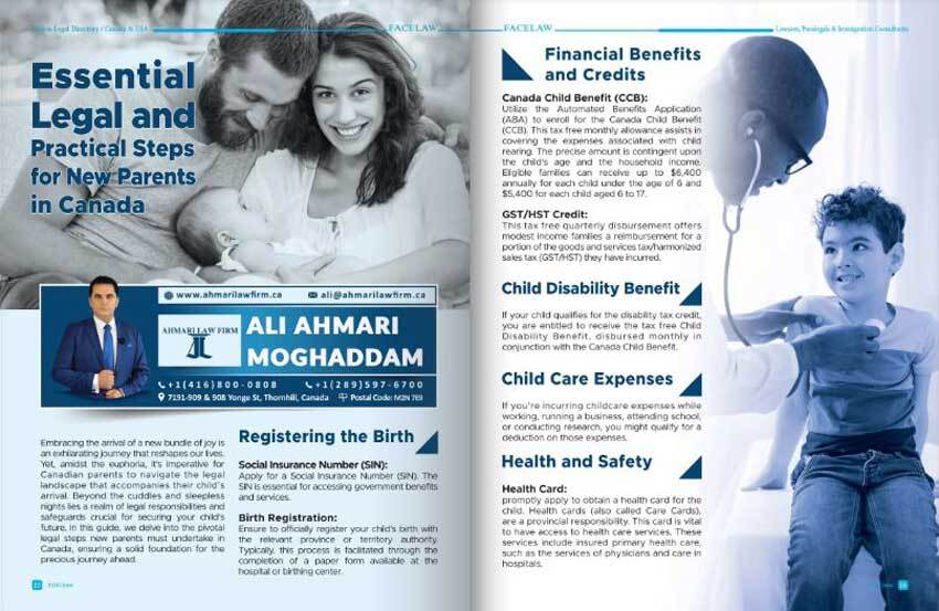 wills and estate lawyer in toronto